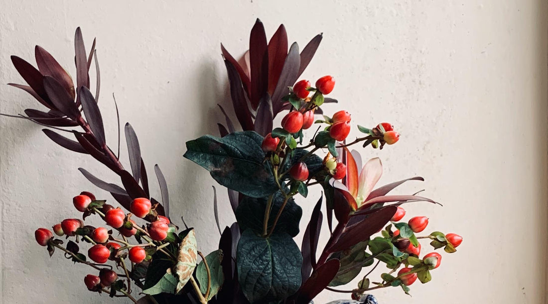 Winter colour palettes inspired by nature: A guide for your home decor